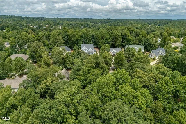 a view of a bunch of trees and bushes