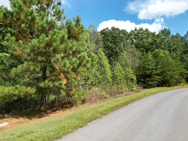 $15,500 | 0 Spring Chase Drive, Glade Hill, VA 24092