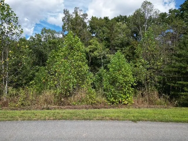 $15,500 | 0 Spring Chase Drive, Glade Hill, VA 24092