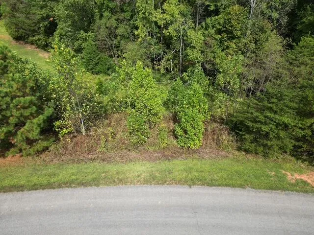 $15,500 | 0 Spring Chase Drive, Glade Hill, VA 24092