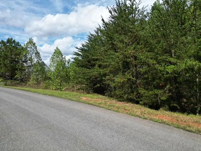 $15,500 | 0 Spring Chase Drive, Glade Hill, VA 24092