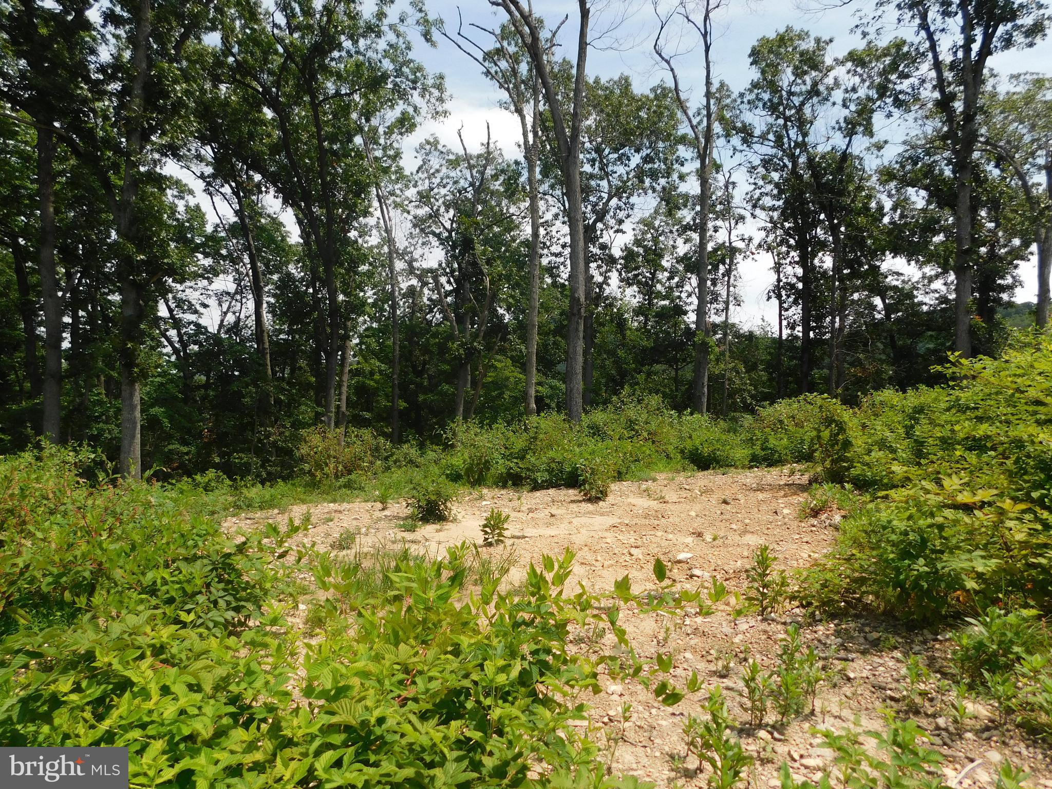 Lot 4-a1 Lot 4-a1 Larkin Ridge Road Front Royal, VA 22630 - Photo 7 of 14 Drain Field for Septic