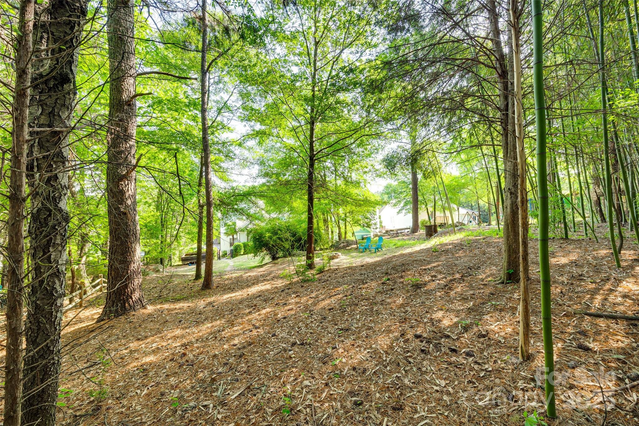 117 Mills Lane Fort Mill, SC 29708 - Photo 40 of 48