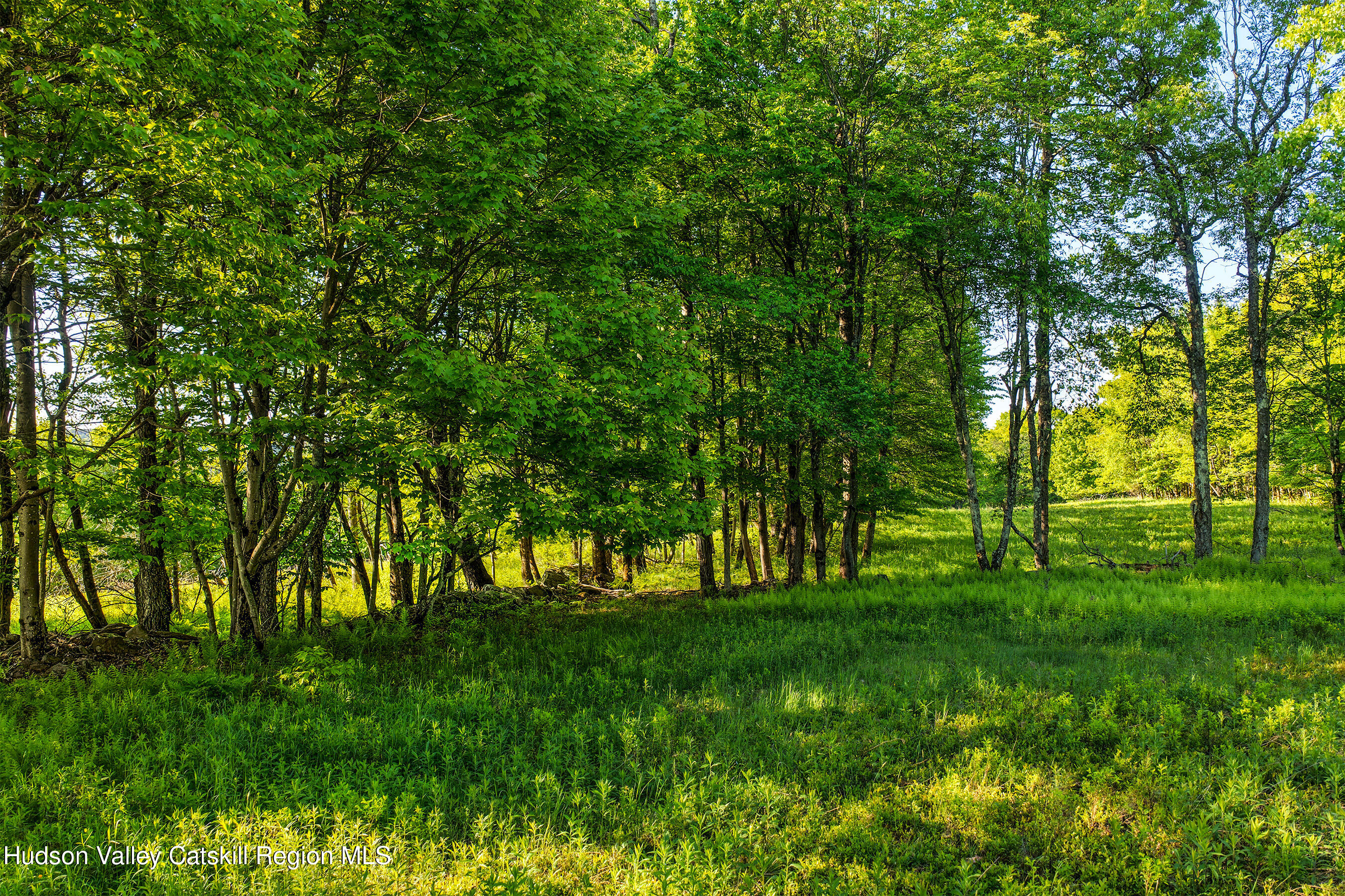 0 Frank Slawson Road Oneonta, NY 13820 - Photo 21 of 29 DJI_20260603074104_0557_D-Edit