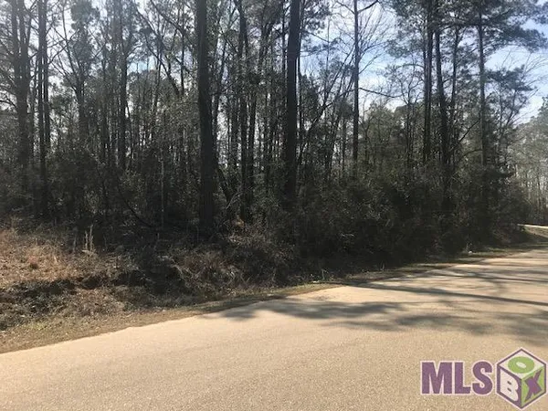 $42,000 | Sec60-t3s-r5e Greensburg Street, Greensburg, LA 70441