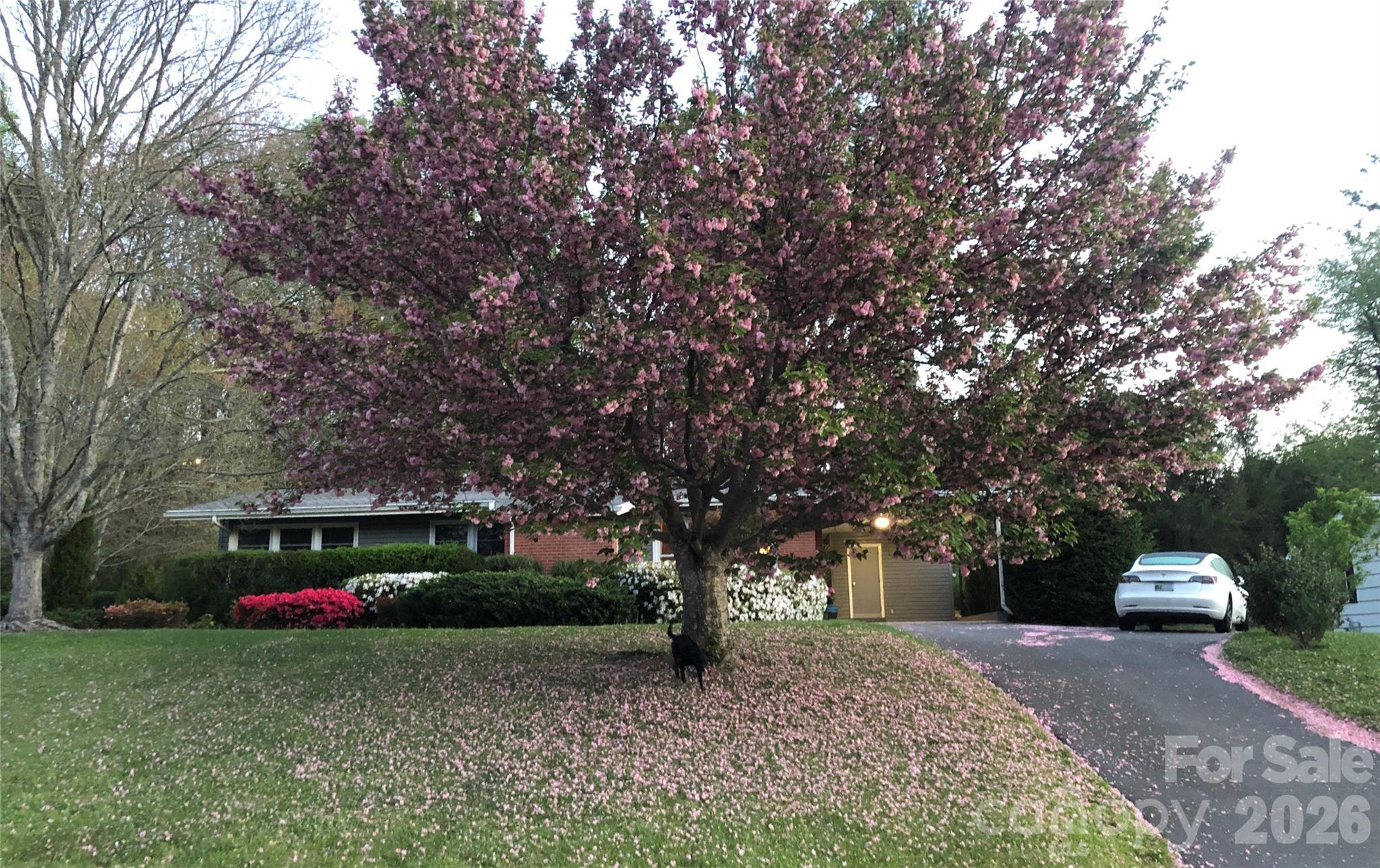 317 Allison Road Brevard, NC 28712 - Photo 24 of 27