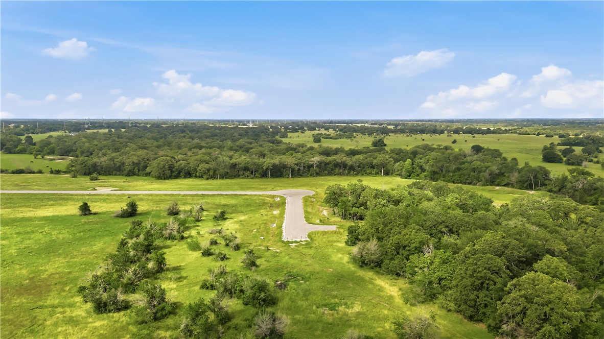 Tbd Tbd Plata Way Bryan, TX 77808 - Photo 18 of 25