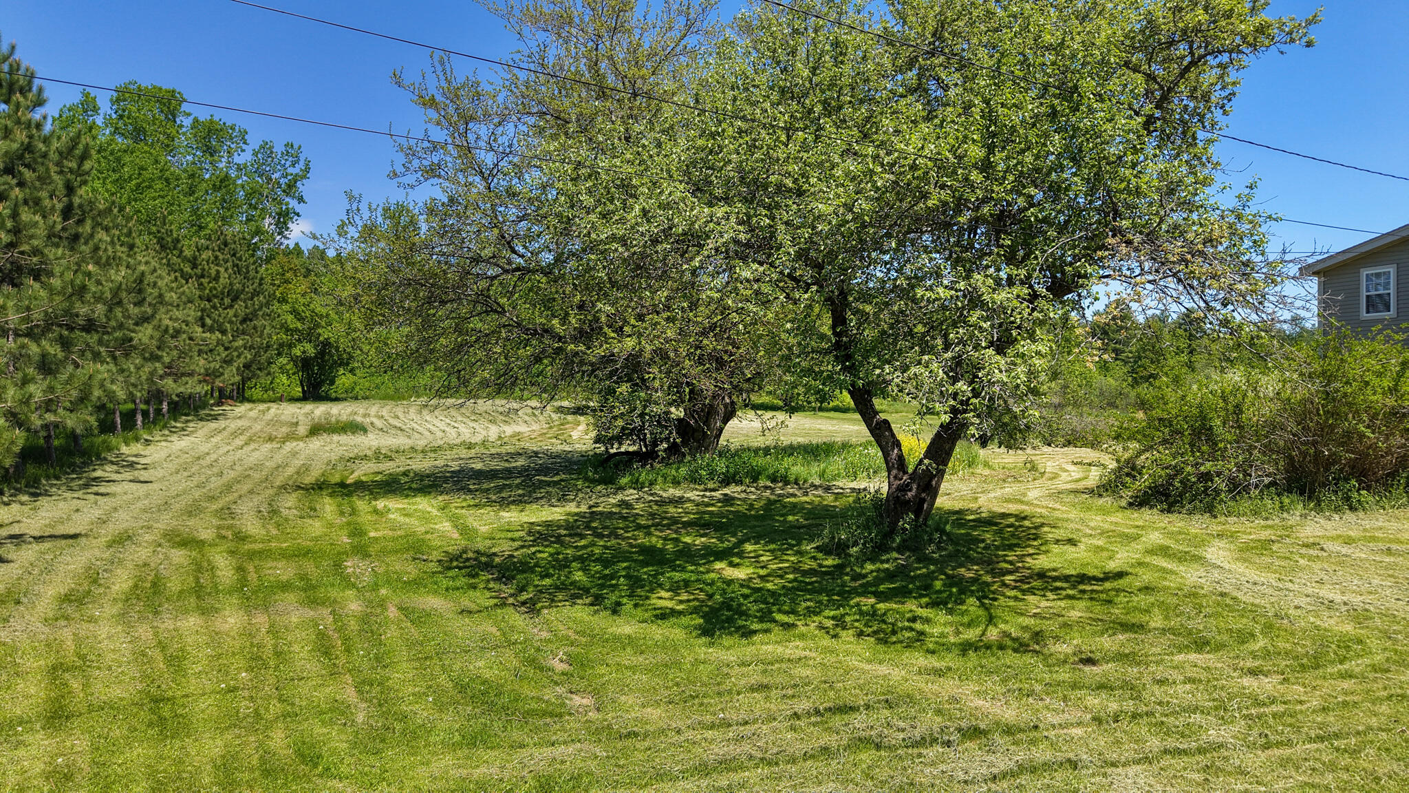 30 Lewis Road Hermon, ME 04401 - Photo 38 of 52 dji_fly_20260603_132324_0934_17805077982