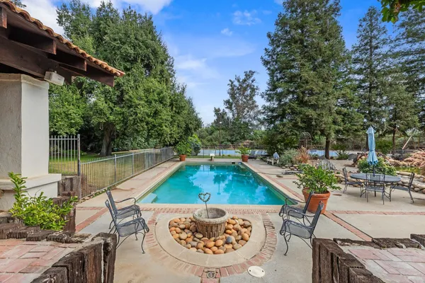 a view of a garden with plants and large trees