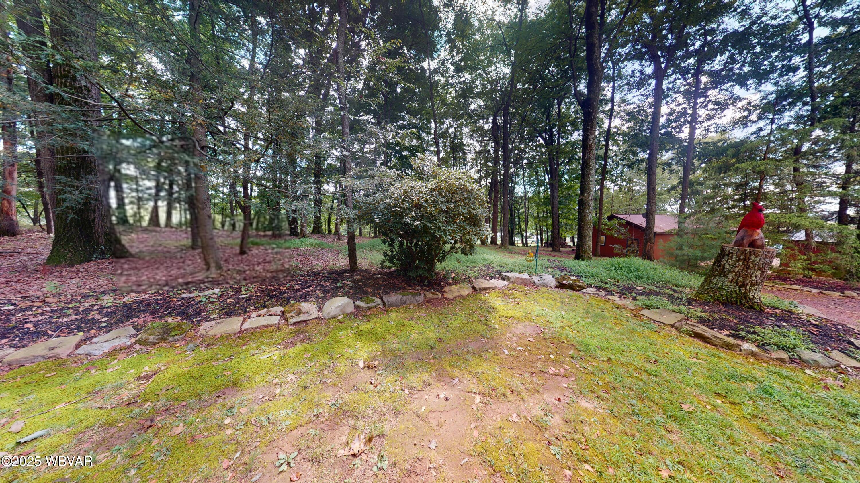 2125 Reeder Road Montoursville, PA 17754 - Photo 28 of 28 Land View