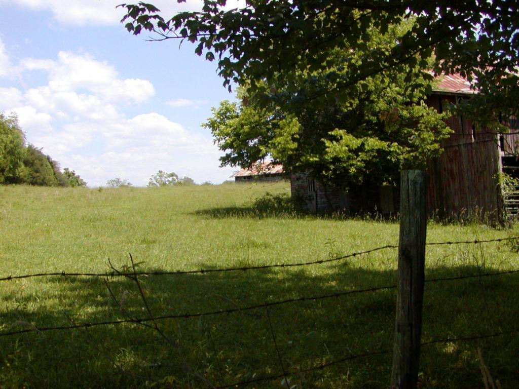 Lot 6 Bacon Branch Road Jonesborough, TN 37659 - Photo 1 of 16 Photo 1