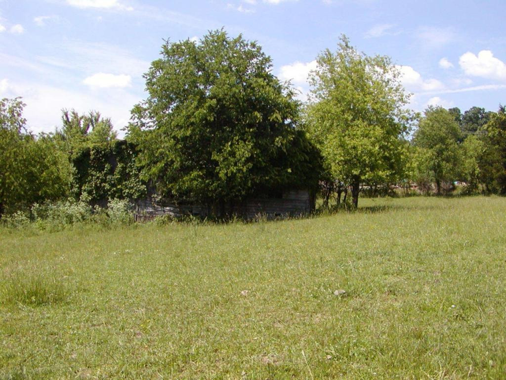 Lot 6 Bacon Branch Road Jonesborough, TN 37659 - Photo 11 of 16 Photo 11