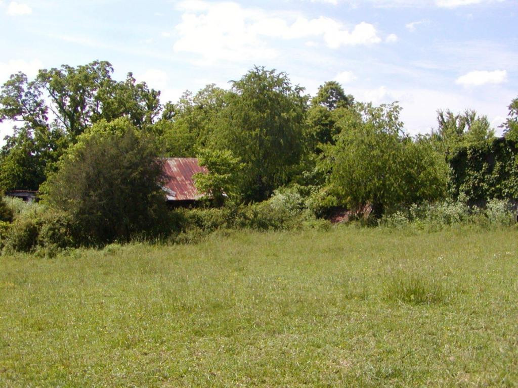 Lot 6 Bacon Branch Road Jonesborough, TN 37659 - Photo 12 of 16 Photo 12