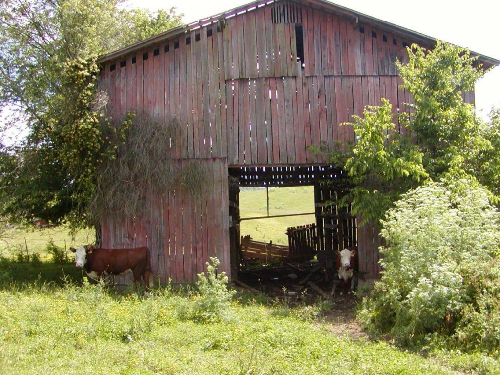 Lot 6 Bacon Branch Road Jonesborough, TN 37659 - Photo 14 of 16 Photo 14