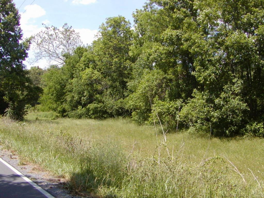 Lot 6 Bacon Branch Road Jonesborough, TN 37659 - Photo 2 of 16 Photo 2