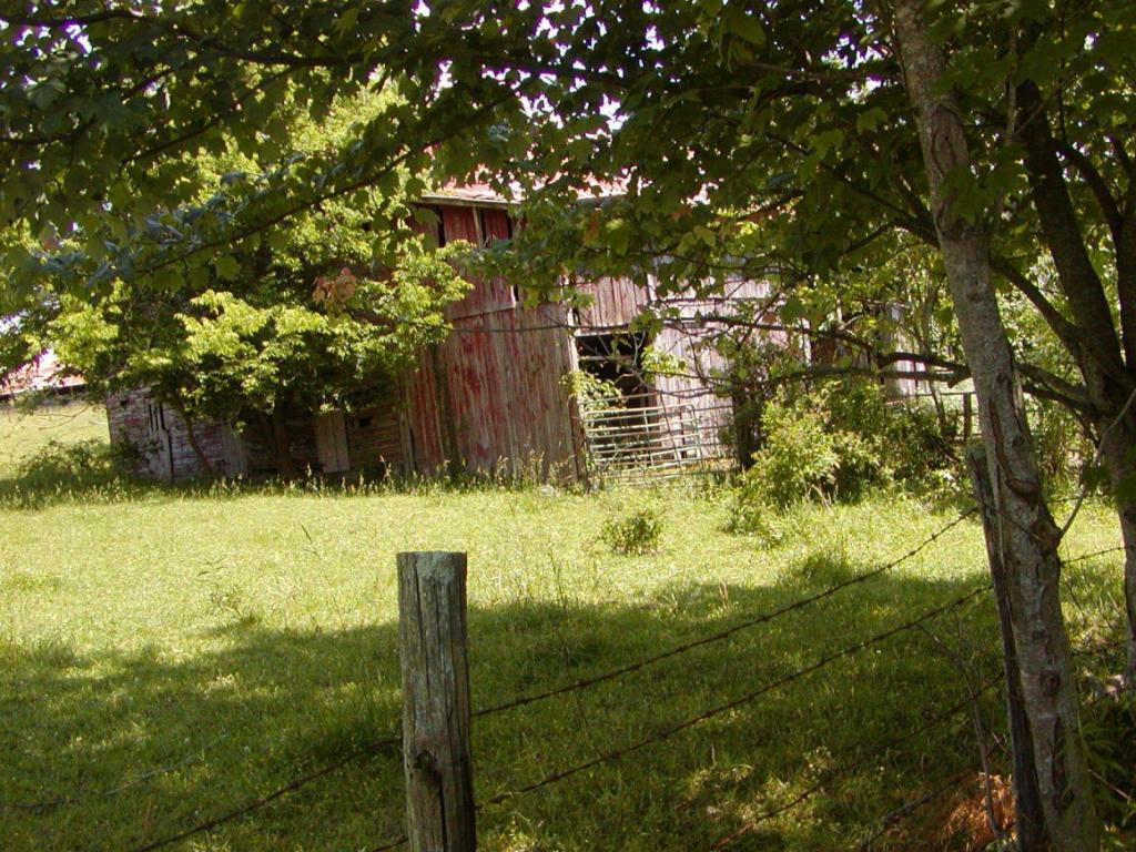 Lot 6 Bacon Branch Road Jonesborough, TN 37659 - Photo 4 of 16 Photo 4