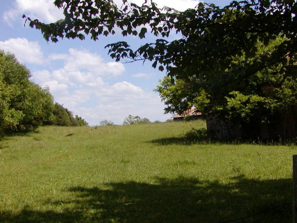 Lot 6 Bacon Branch Road Jonesborough, TN 37659 - Photo 5 of 16 Photo 5