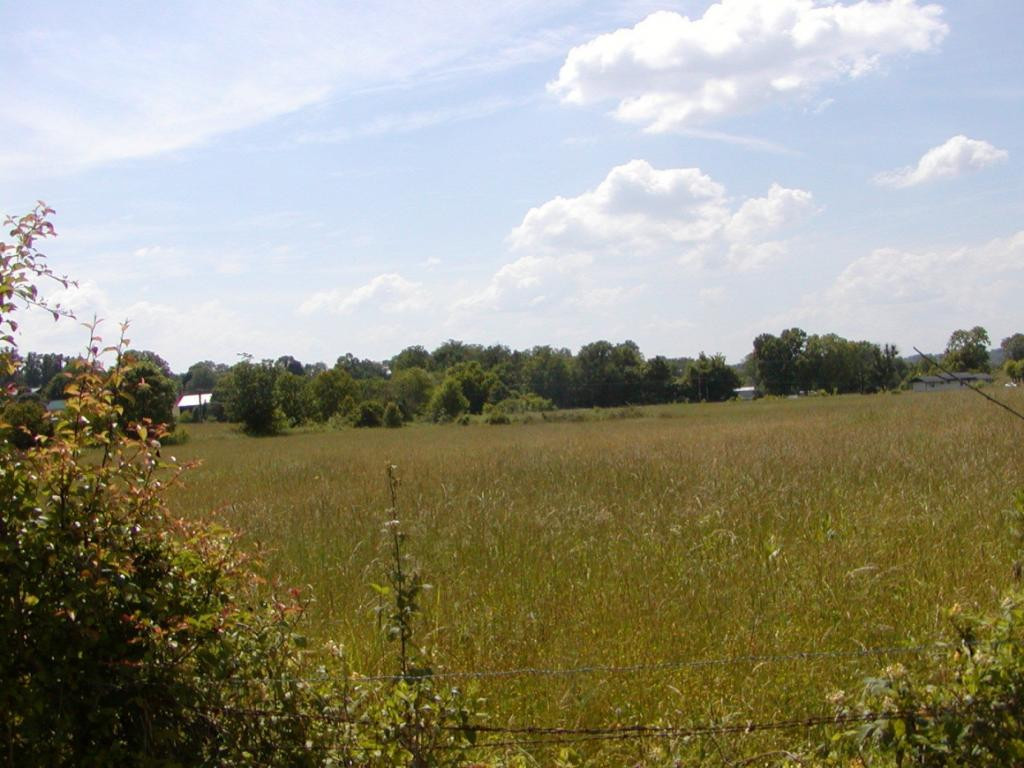 Lot 6 Bacon Branch Road Jonesborough, TN 37659 - Photo 6 of 16 Photo 6