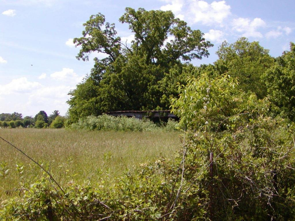 Lot 6 Bacon Branch Road Jonesborough, TN 37659 - Photo 7 of 16 Photo 7