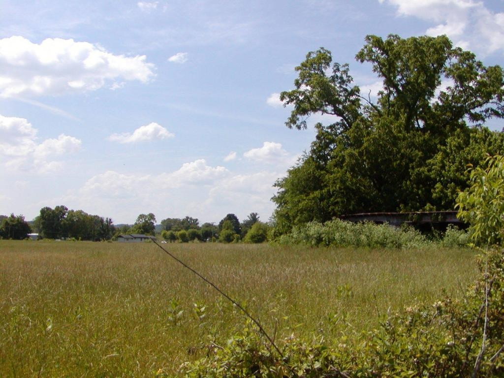 Lot 6 Bacon Branch Road Jonesborough, TN 37659 - Photo 8 of 16 Photo 8
