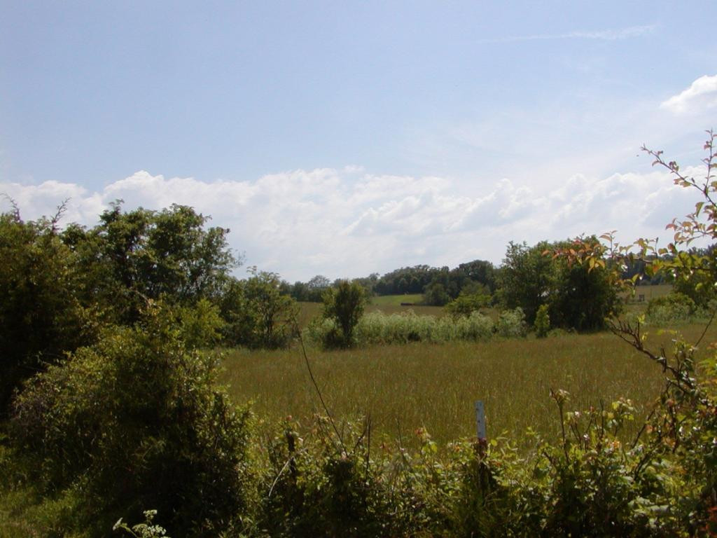 Lot 6 Bacon Branch Road Jonesborough, TN 37659 - Photo 9 of 16 Photo 9