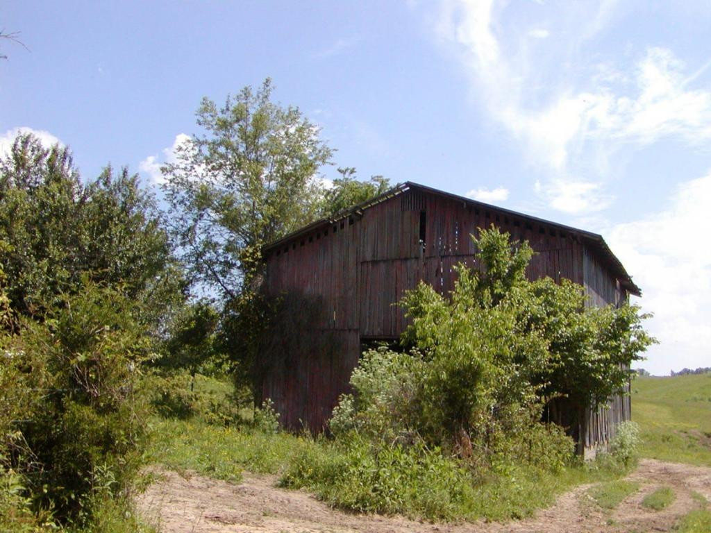 Lot 6 Bacon Branch Road Jonesborough, TN 37659 - Photo 10 of 16 Photo 10