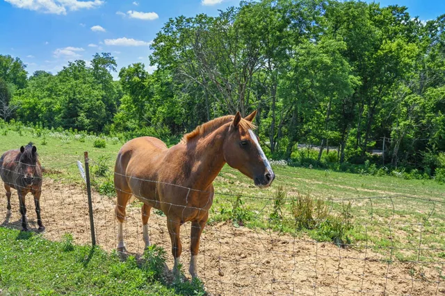 $570,900 | 8808 Plum Creek Road, Vevay, IN 47043