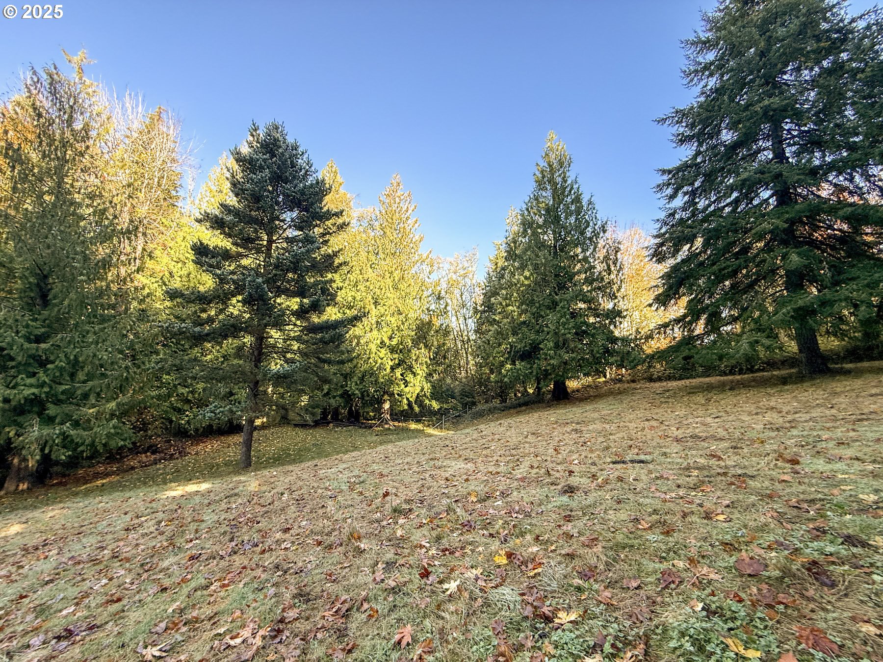 26609 South Elwood Road Colton, OR 97017 - Photo 25 of 38 a backyard of a house with lots of trees