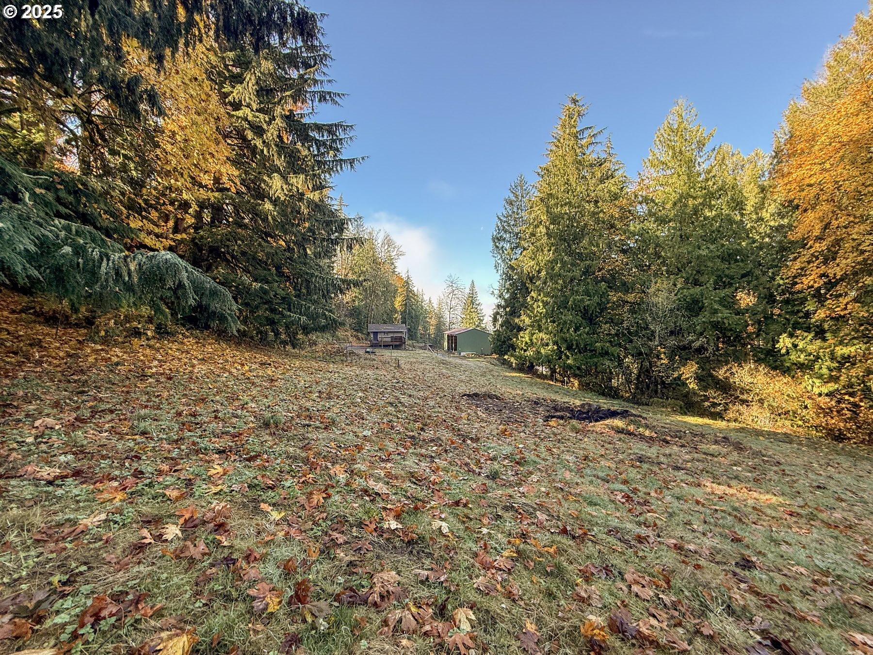 26609 South Elwood Road Colton, OR 97017 - Photo 29 of 38 a view of a yard with a tree