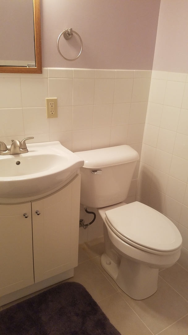 1401 Brookside Drive Rochelle, IL 61068 - Photo 12 of 20 a white toilet sitting next to a bathroom sink