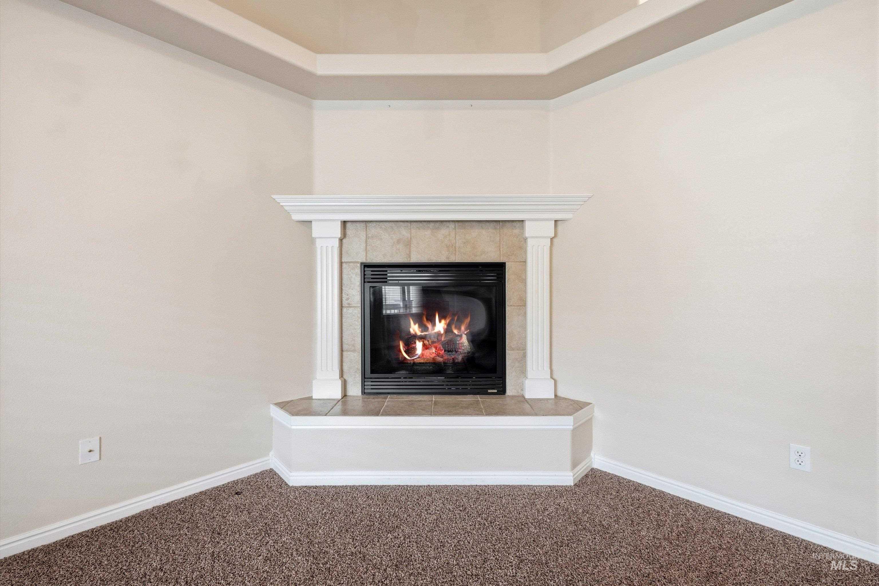 3787 North Alexis Way Meridian, ID 83646 - Photo 10 of 50 Detailed view of a tiled fireplace and carpet