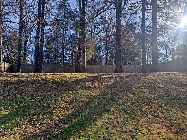 4356 Cedar Hills Road Memphis, TN 38135 - Photo 17 of 18 a view of a yard with a tree