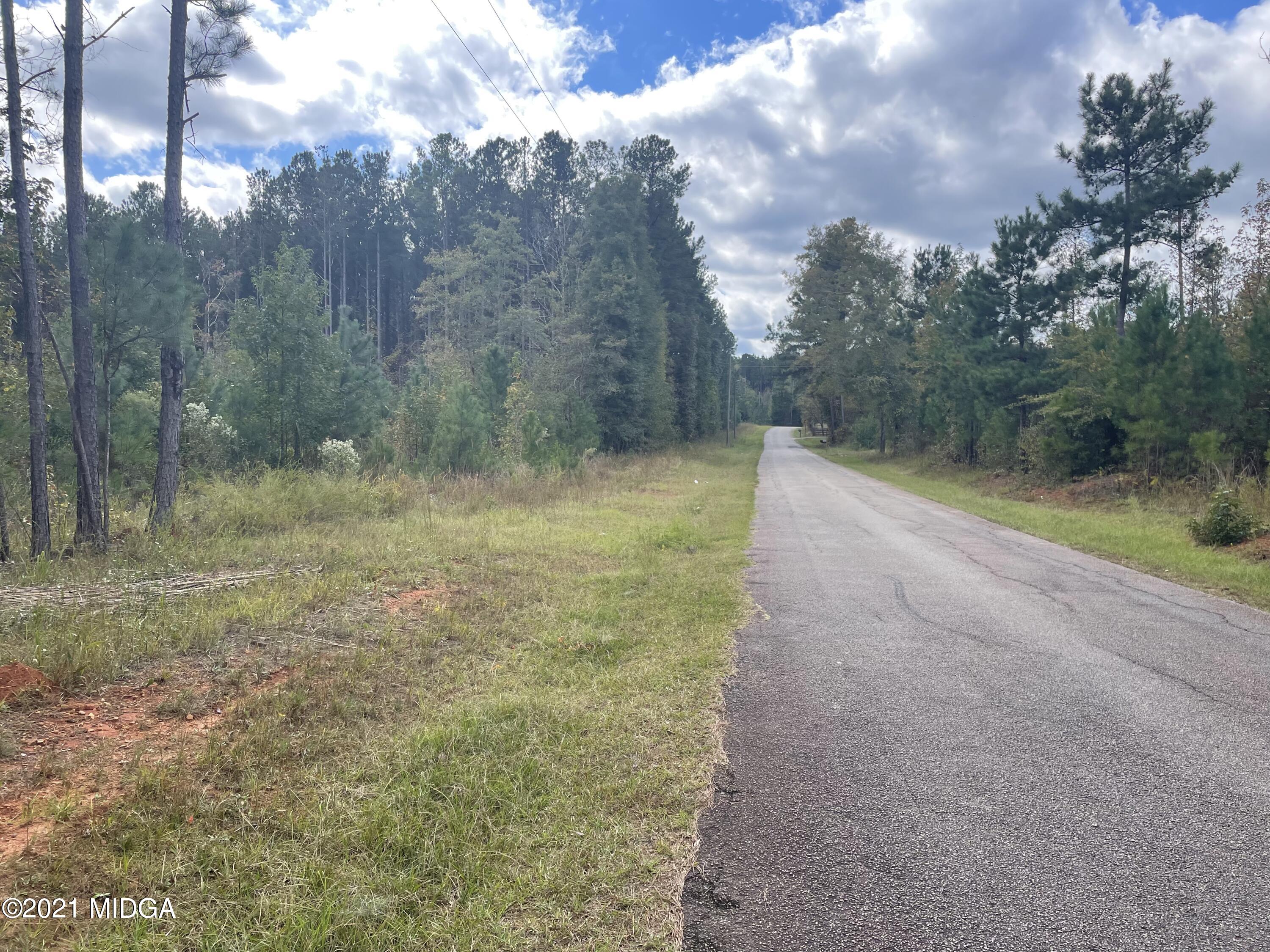 Lot 7 Zellner Road Forsyth, GA 31029 - Photo 2 of 2 a view of a yard with trees