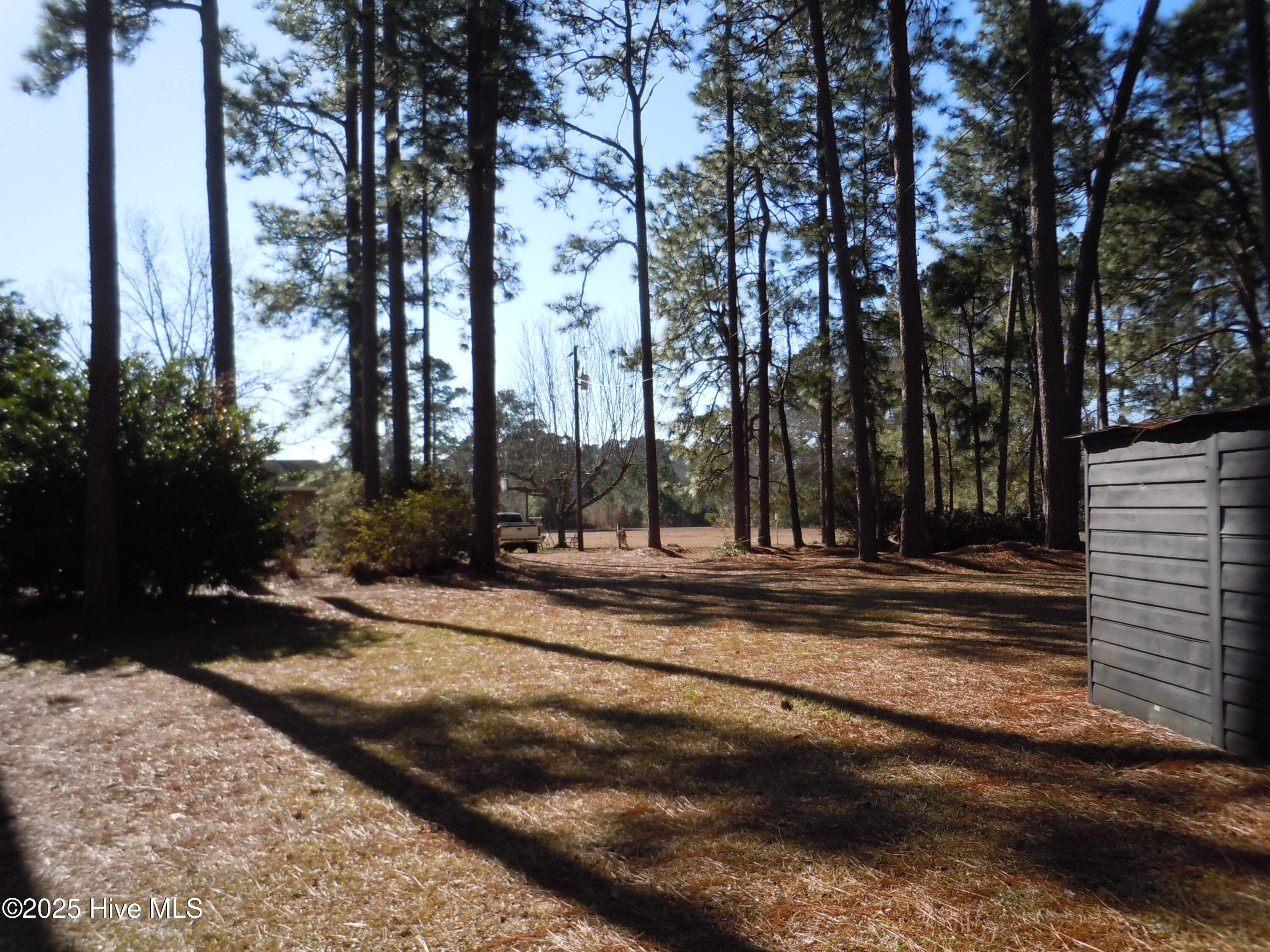 1070 Bee Tree Road Chadbourn, NC 28431 - Photo 64 of 85 DSCN9477