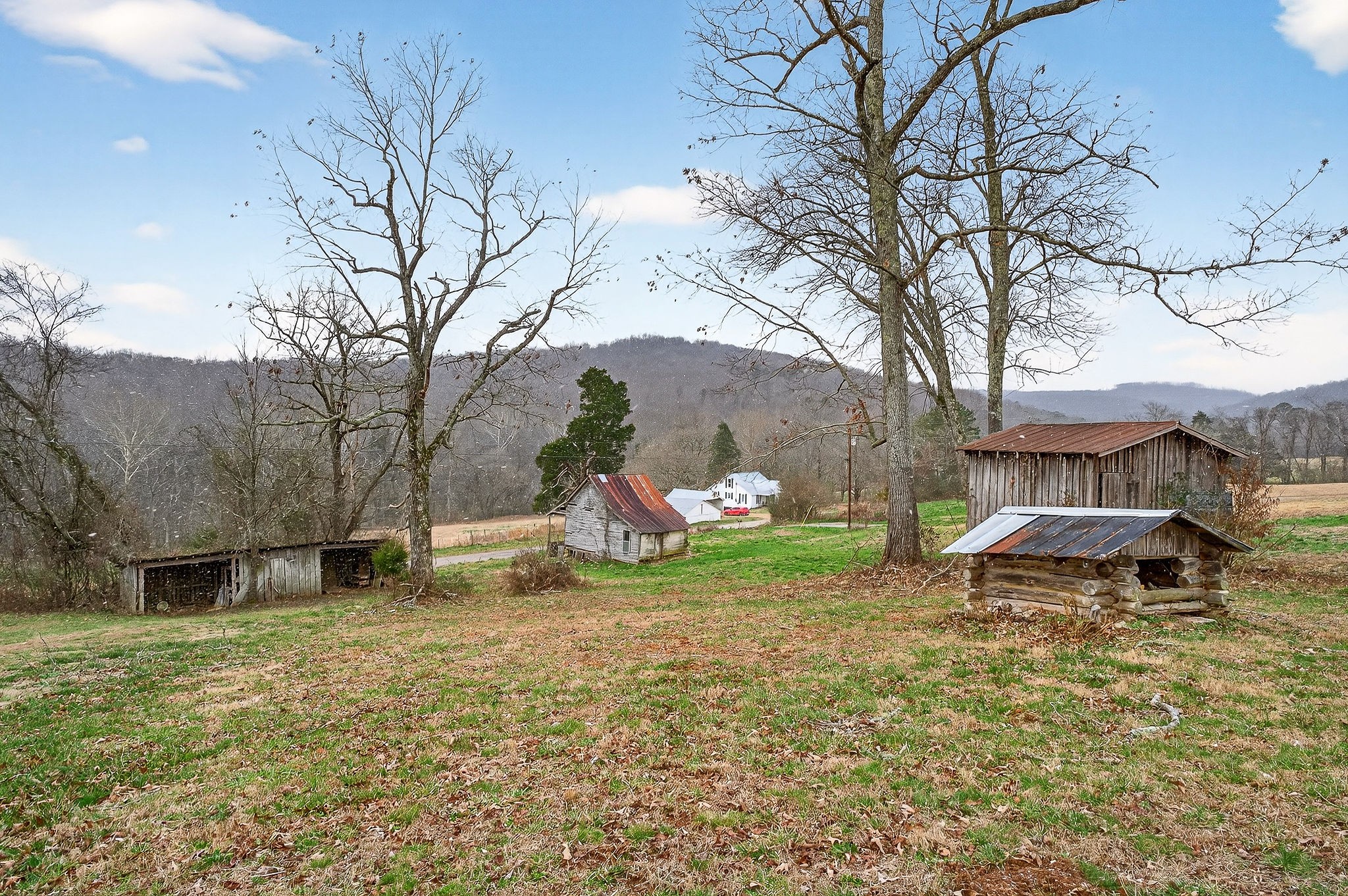 1528 Dry Creek Road McMinnville, TN 37110 - Photo 32 of 45 a backyard of a house with table and chairs