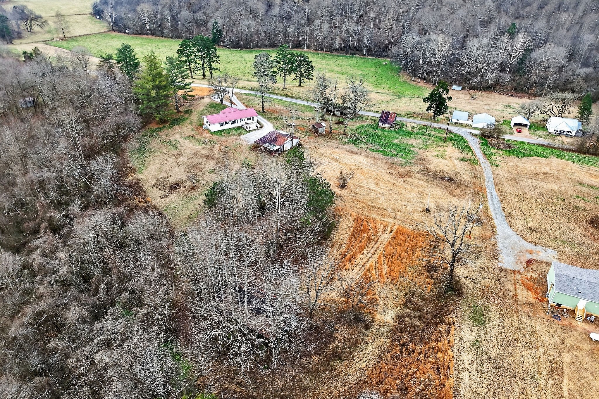 1528 Dry Creek Road McMinnville, TN 37110 - Photo 39 of 45 a view of yard
