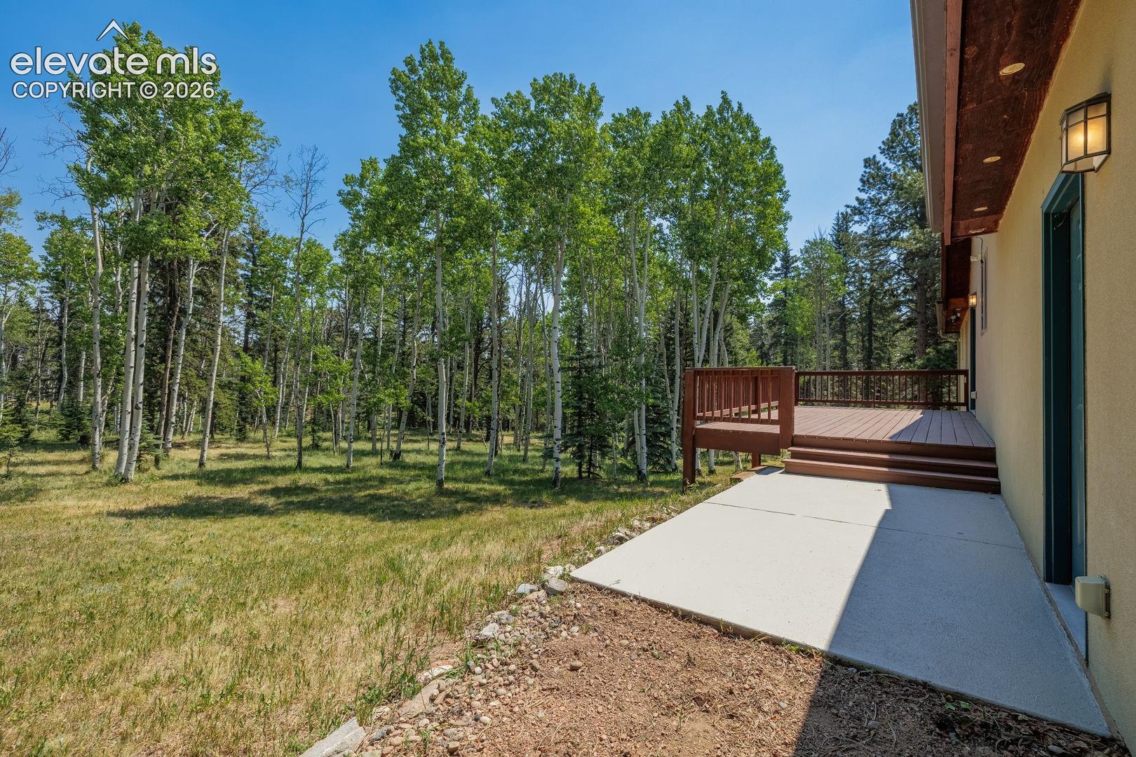392 Aspen Village Road Divide, CO 80814 - Photo 39 of 43 Gallery Image 39