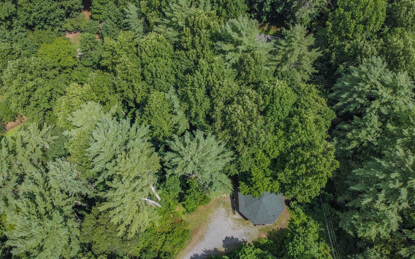 541 Trails End Road Blue Ridge, GA 30513 - Photo 40 of 43 Additional View