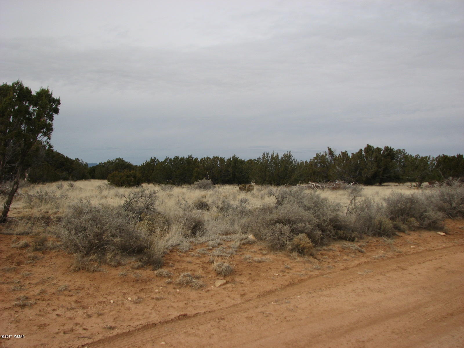 9 T14n R16e:ne4 Nw4 Sw4 Chev Ret Heber, AZ 85928 - Photo 2 of 8