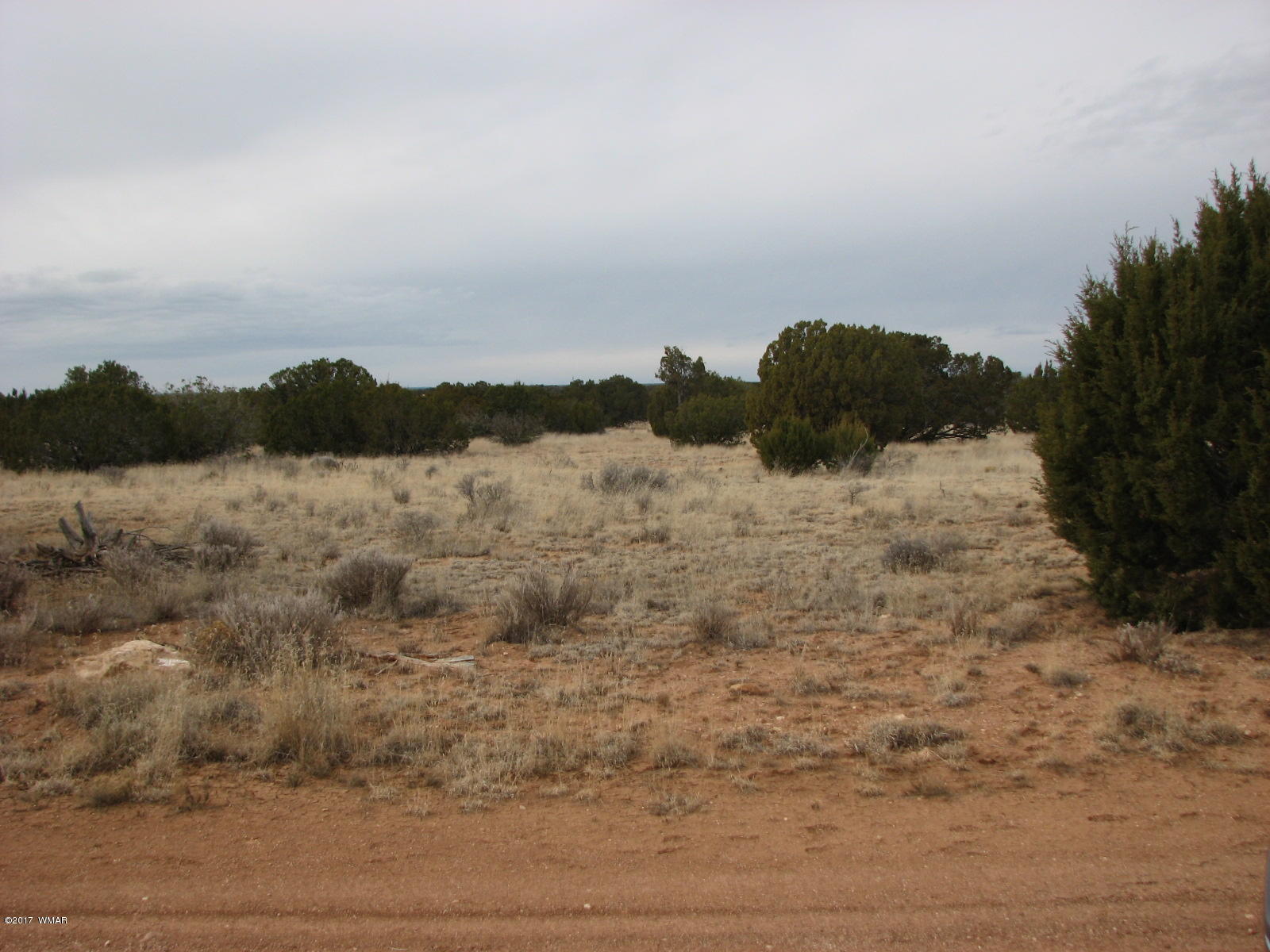 9 T14n R16e:ne4 Nw4 Sw4 Chev Ret Heber, AZ 85928 - Photo 3 of 8