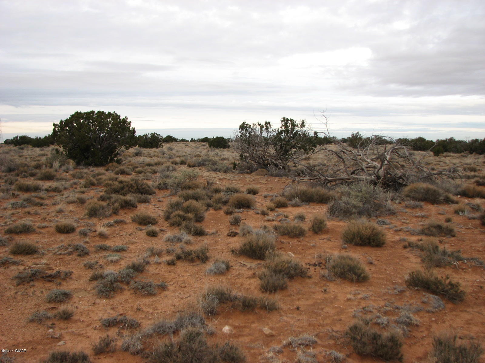 9 T14n R16e:ne4 Nw4 Sw4 Chev Ret Heber, AZ 85928 - Photo 4 of 8