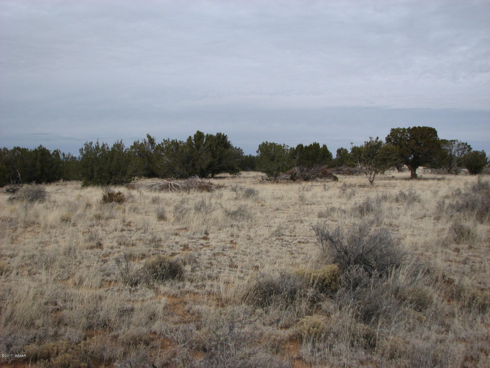 9 T14n R16e:ne4 Nw4 Sw4 Chev Ret Heber, AZ 85928 - Photo 5 of 8