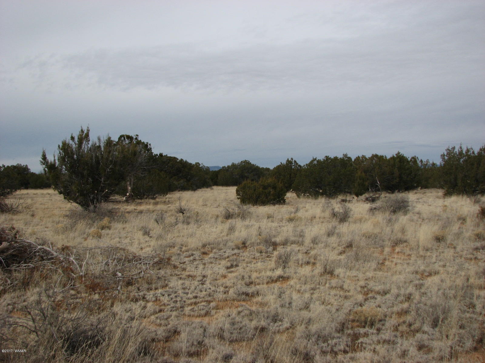 9 T14n R16e:ne4 Nw4 Sw4 Chev Ret Heber, AZ 85928 - Photo 6 of 8