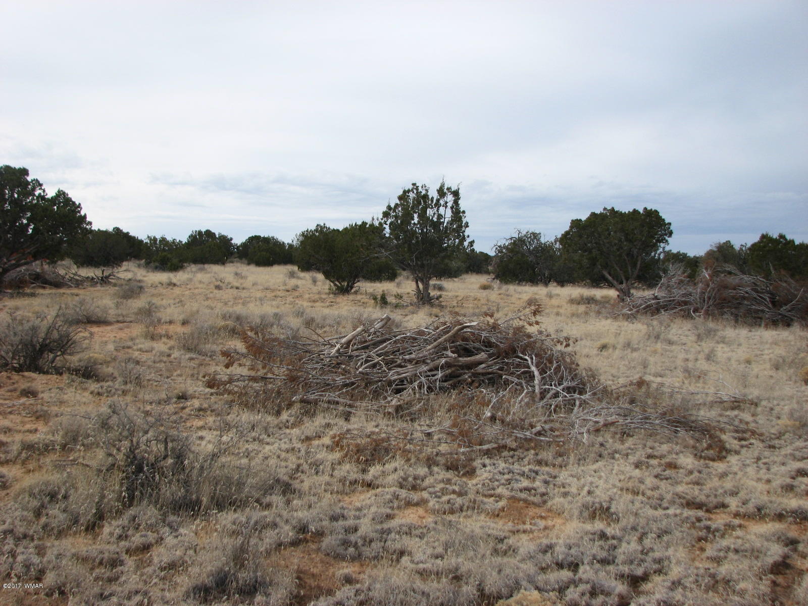 9 T14n R16e:ne4 Nw4 Sw4 Chev Ret Heber, AZ 85928 - Photo 8 of 8