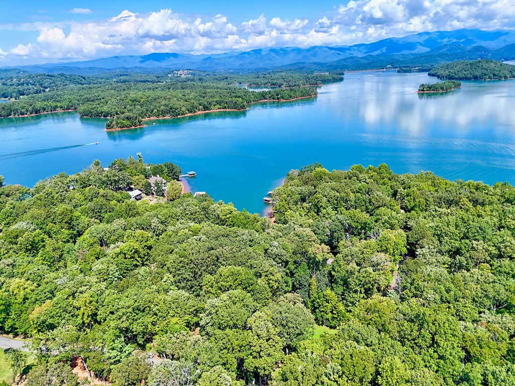 2204 Cedar Cliff Road Hiawassee, GA 30546 - Photo 2 of 62