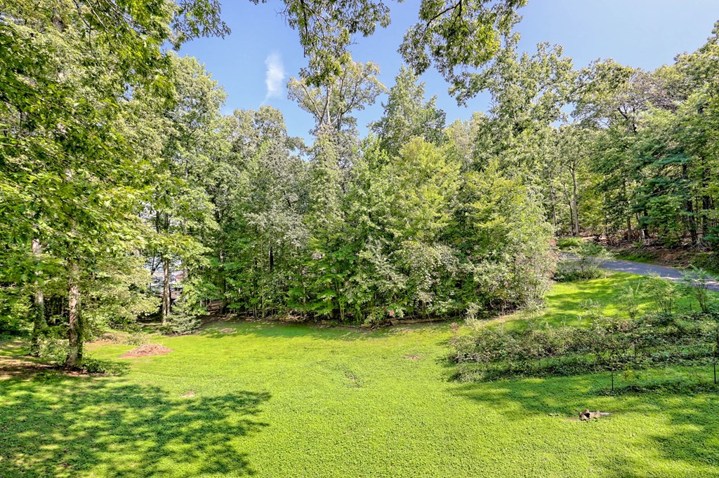 2204 Cedar Cliff Road Hiawassee, GA 30546 - Photo 45 of 62