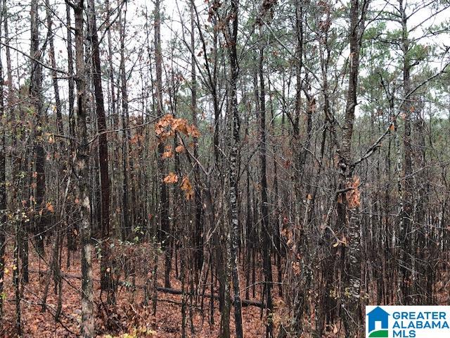 0 Lakeside Lane, Unit 31 Alpine, AL 35014 - Photo 10 of 42