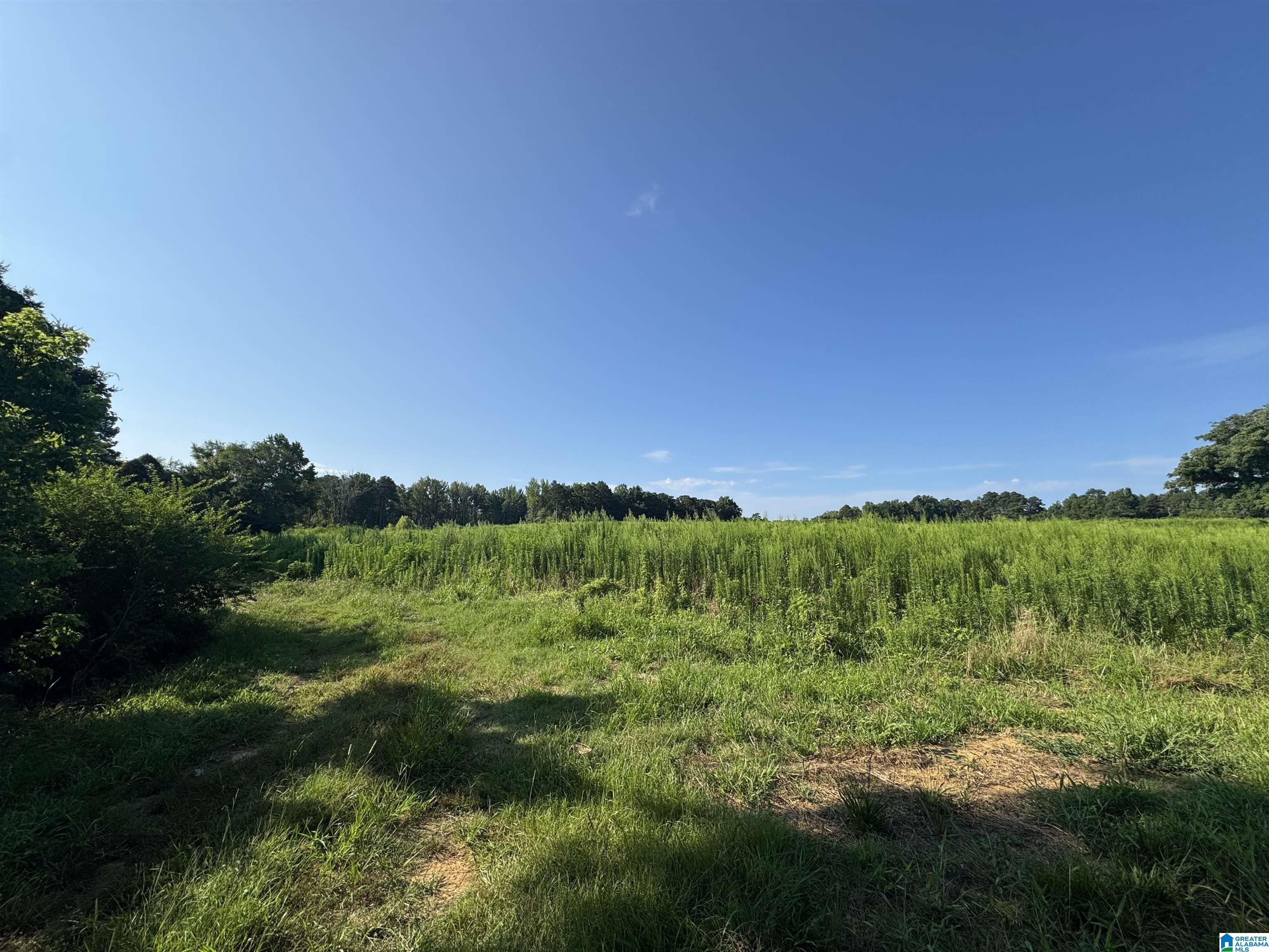 0 County Highway 27, Unit 47 Springville, AL 35146 - Photo 46 of 53