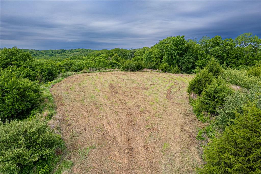 1449 Southeast Turner Road St. Joseph, MO 64504 - Photo 2 of 18