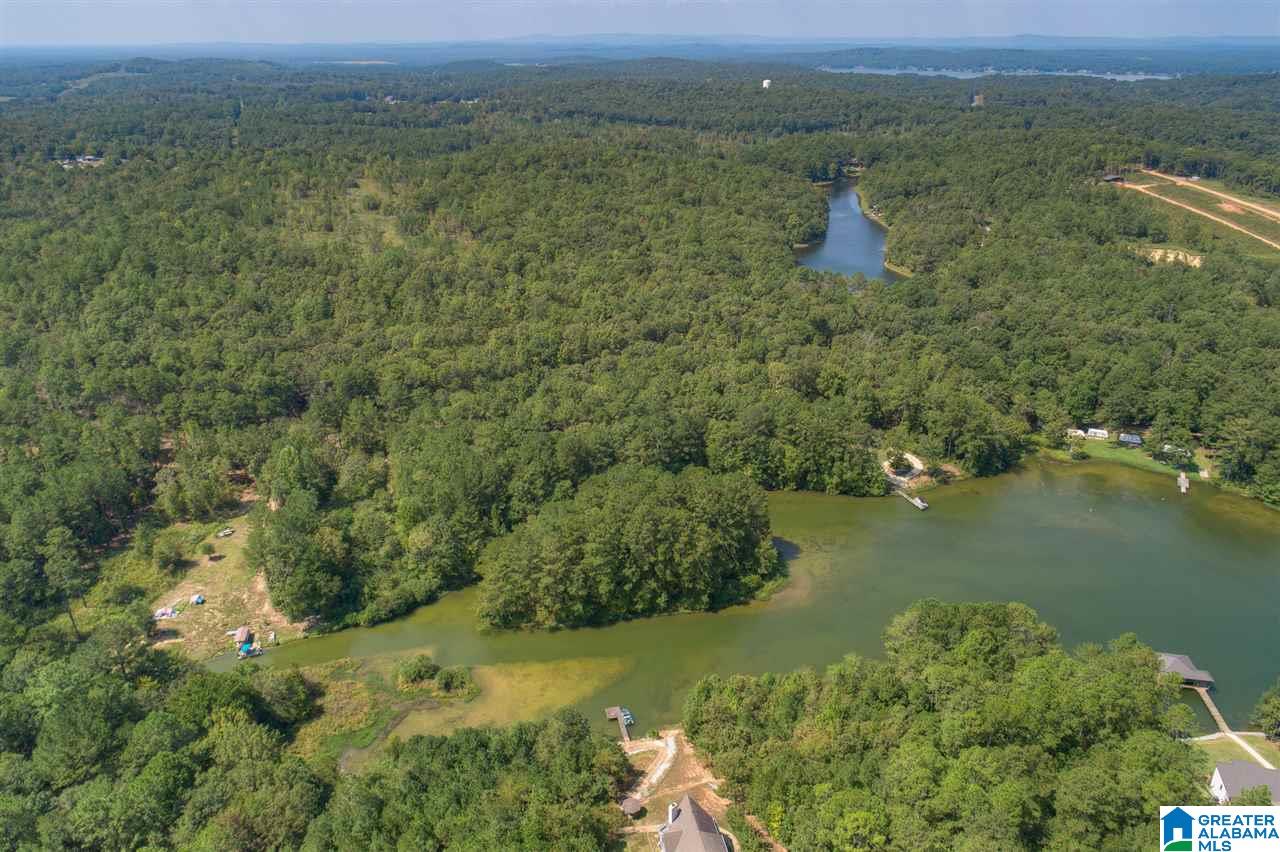 255 Lakeside Lane Alpine, AL 35014 - Photo 1 of 12